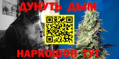 прущие грибы Брянск