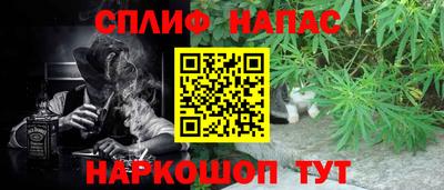 прущие грибы Брянск