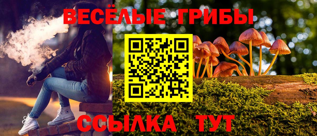где продают наркотики  Вход с VPN  Сарапул  Галлюциногенные грибы Psilocybine cubensis 